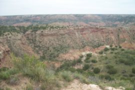 Palo Duro is the 2nd largest canyon in the US - it is `120 miles long...not all of it in the park